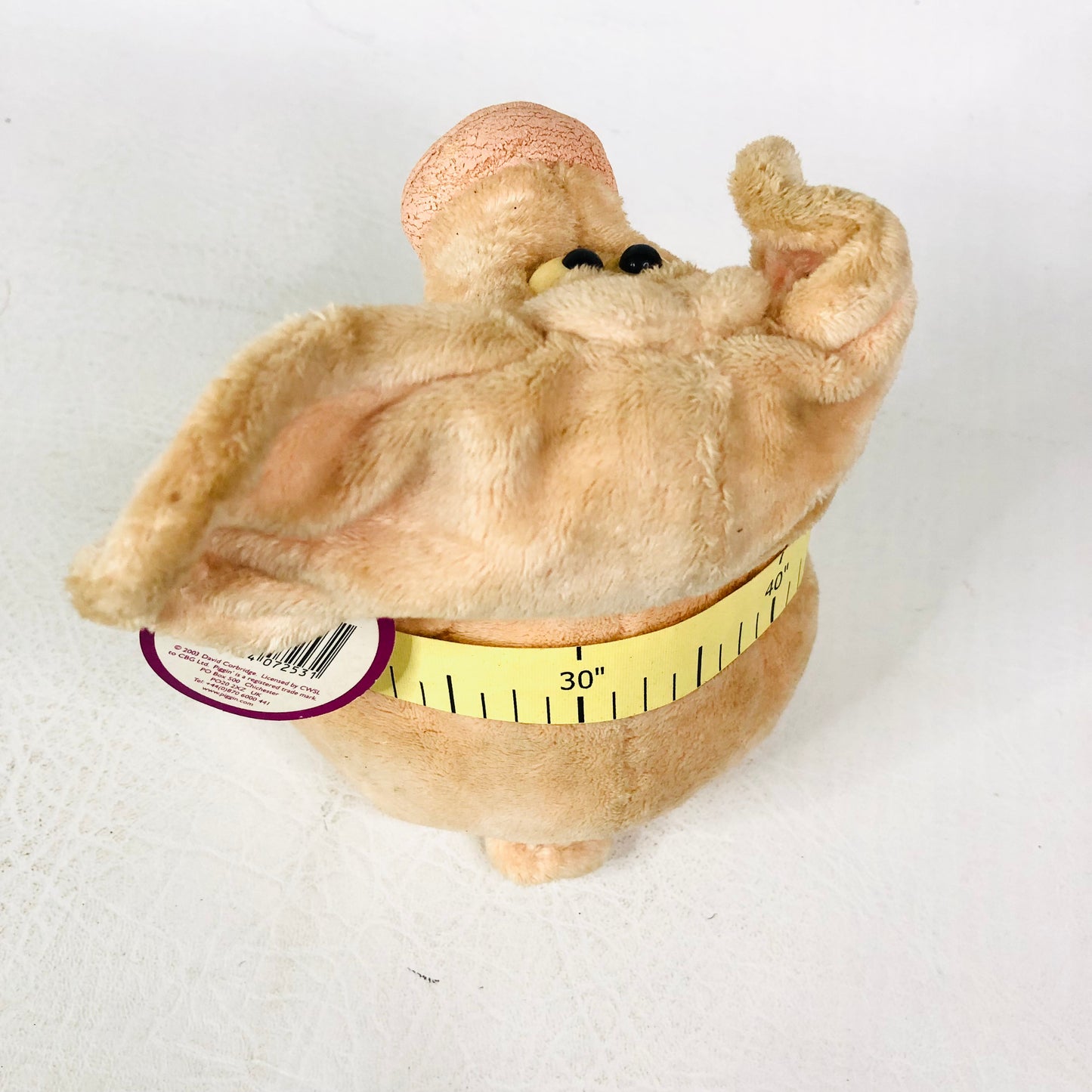 Piggin’ Big Ears Novelty Plush Porker Weight loss Tape Measure Y2K Soft Toy