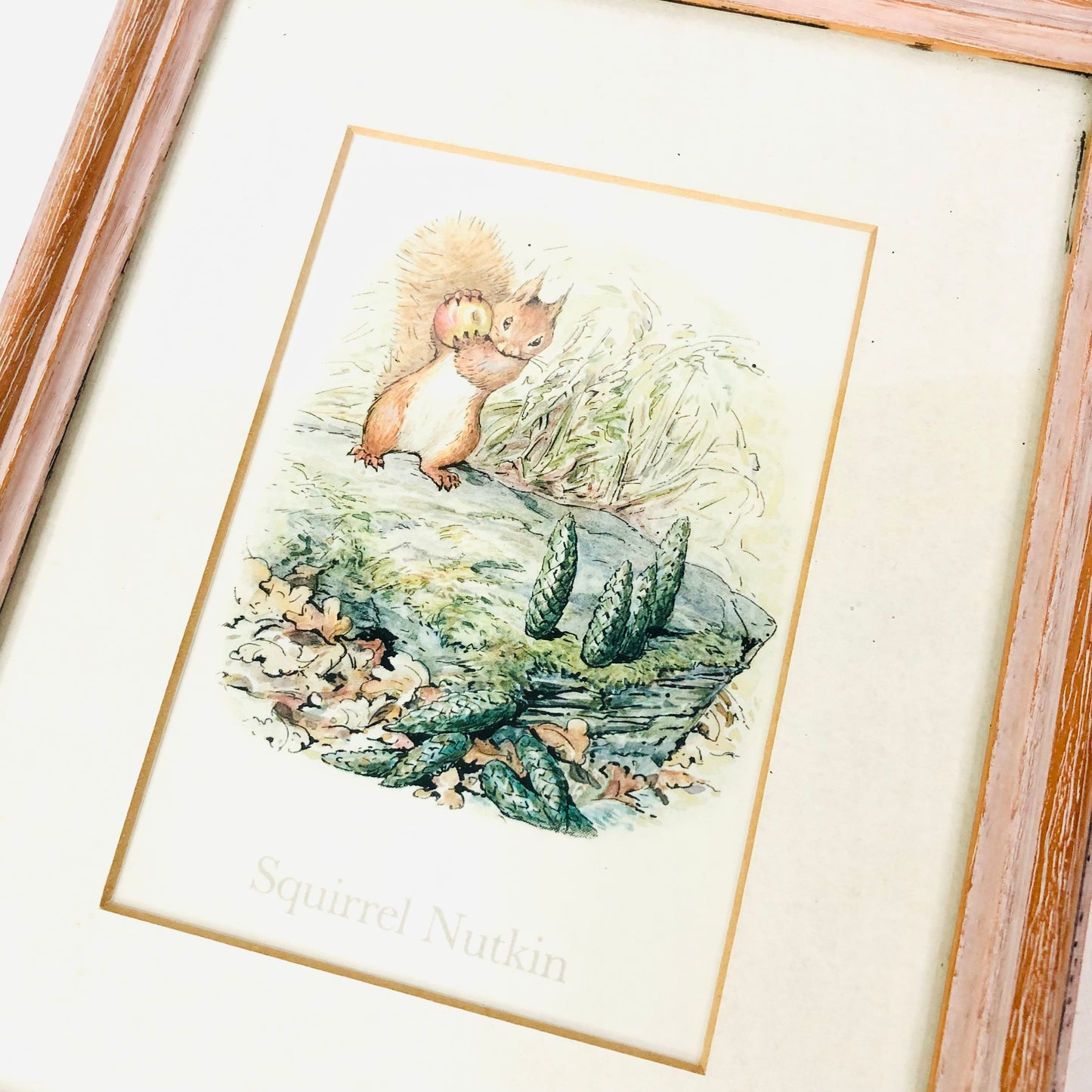 Squirrel Nutkin (Beatrix Potter) Framed Art Work Print Nursery Decor 8.5" x 7"