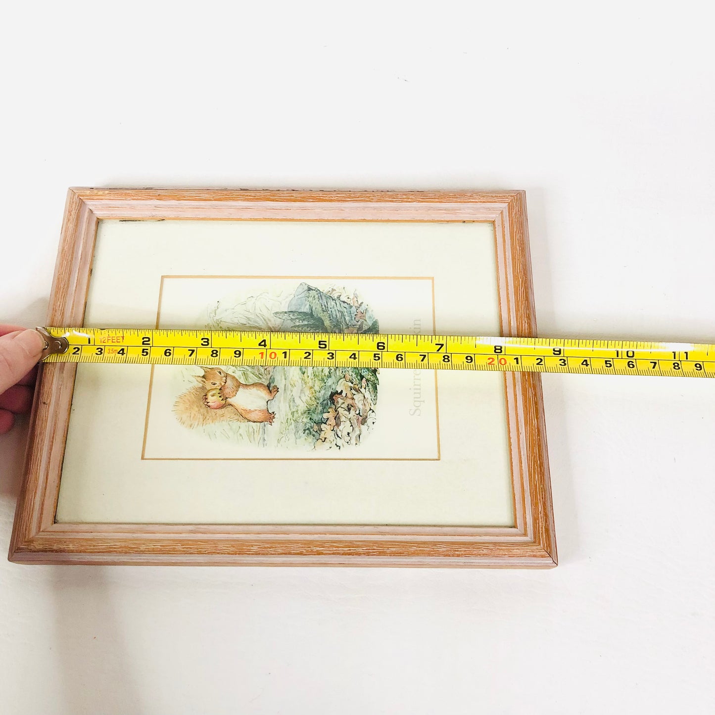 Squirrel Nutkin (Beatrix Potter) Framed Art Work Print Nursery Decor 8.5" x 7"