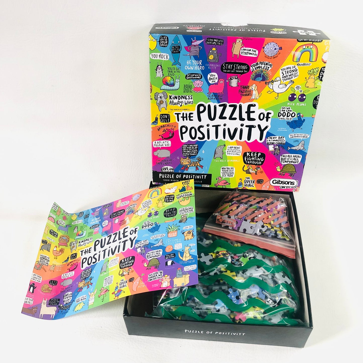 Gibson The Puzzle of Positivity 1000 Piece Jigsaw Puzzle Mental Health Puzzle - Complete