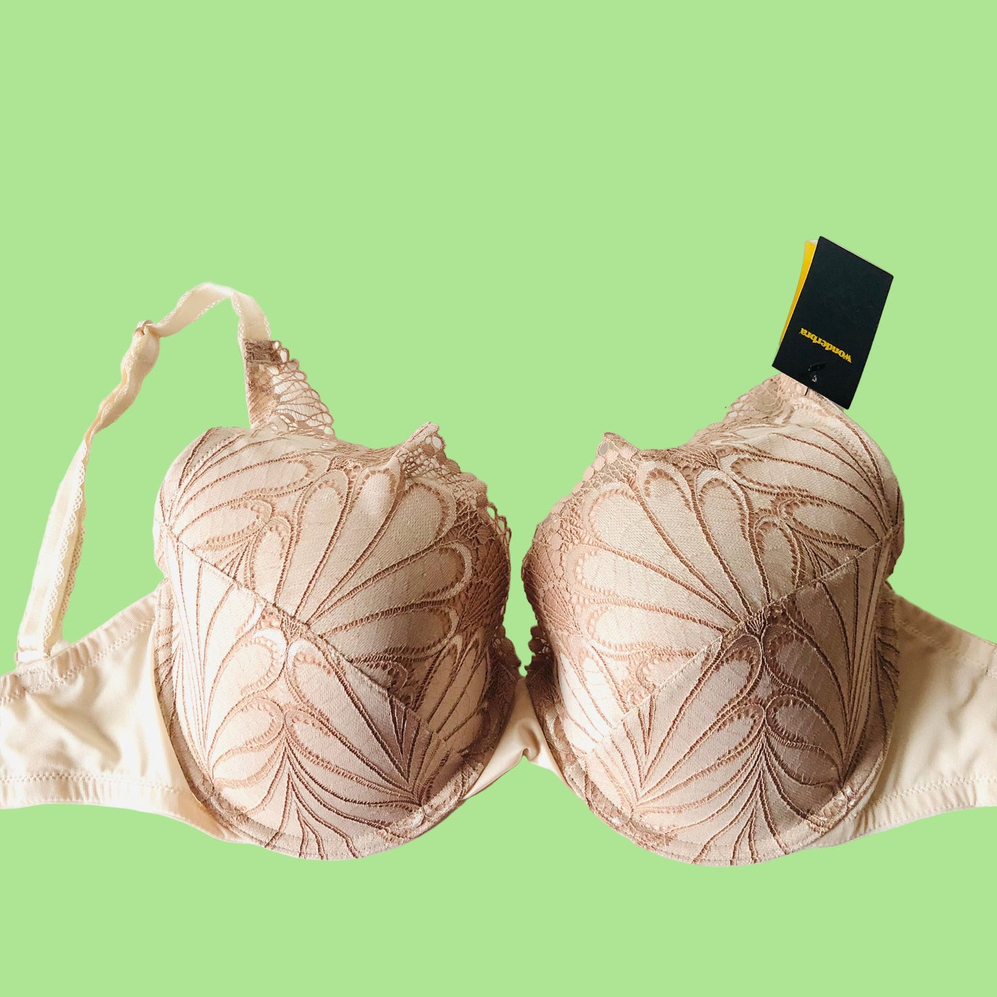 Wonderbra Refined Glamour Ivory Cloud (Beige) Padded Triangle Push-Up Plunge Bra 34FF NEW