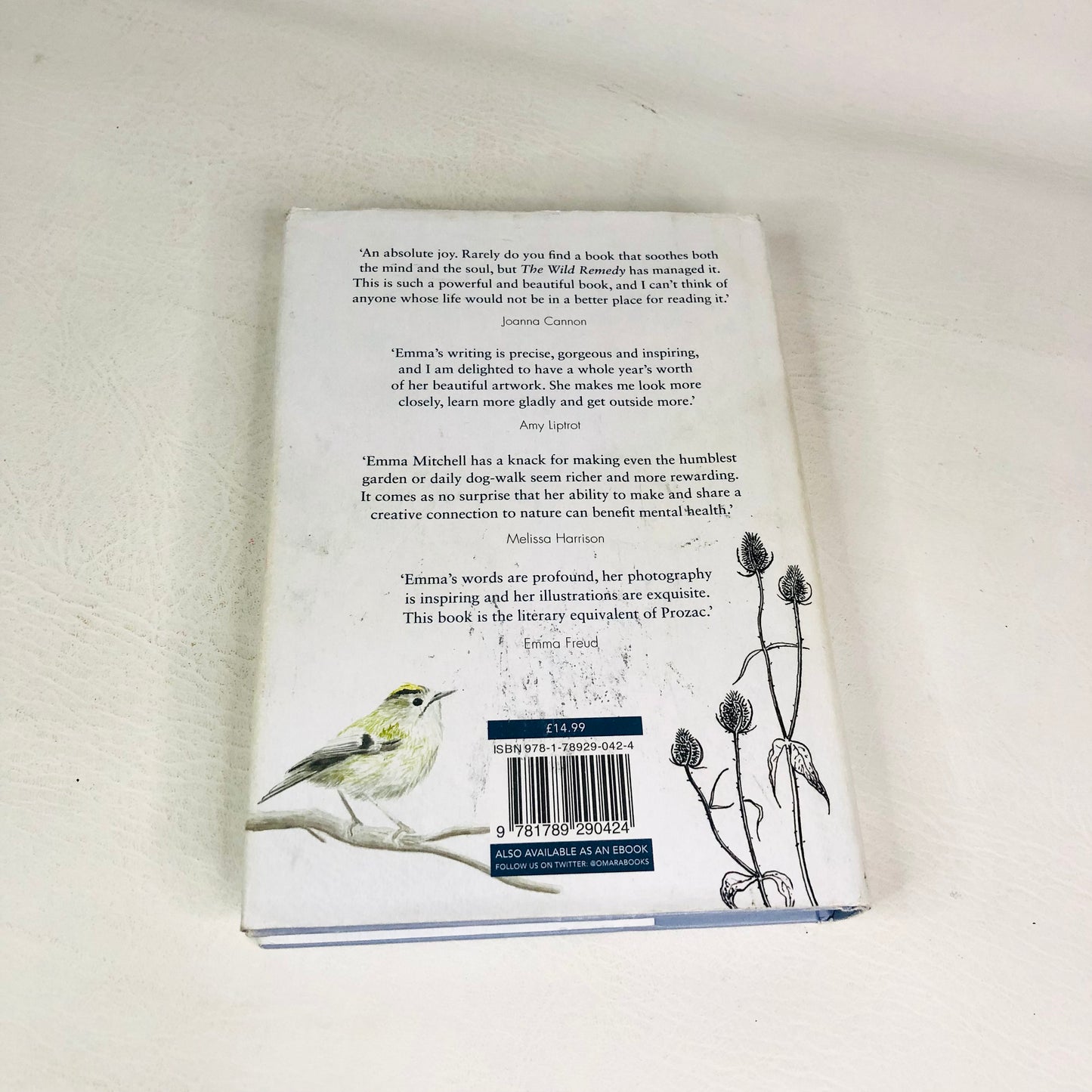 The Wild Remedy: How Nature Mends Us - A Diary by Emma Mitchell (Hardback Book)