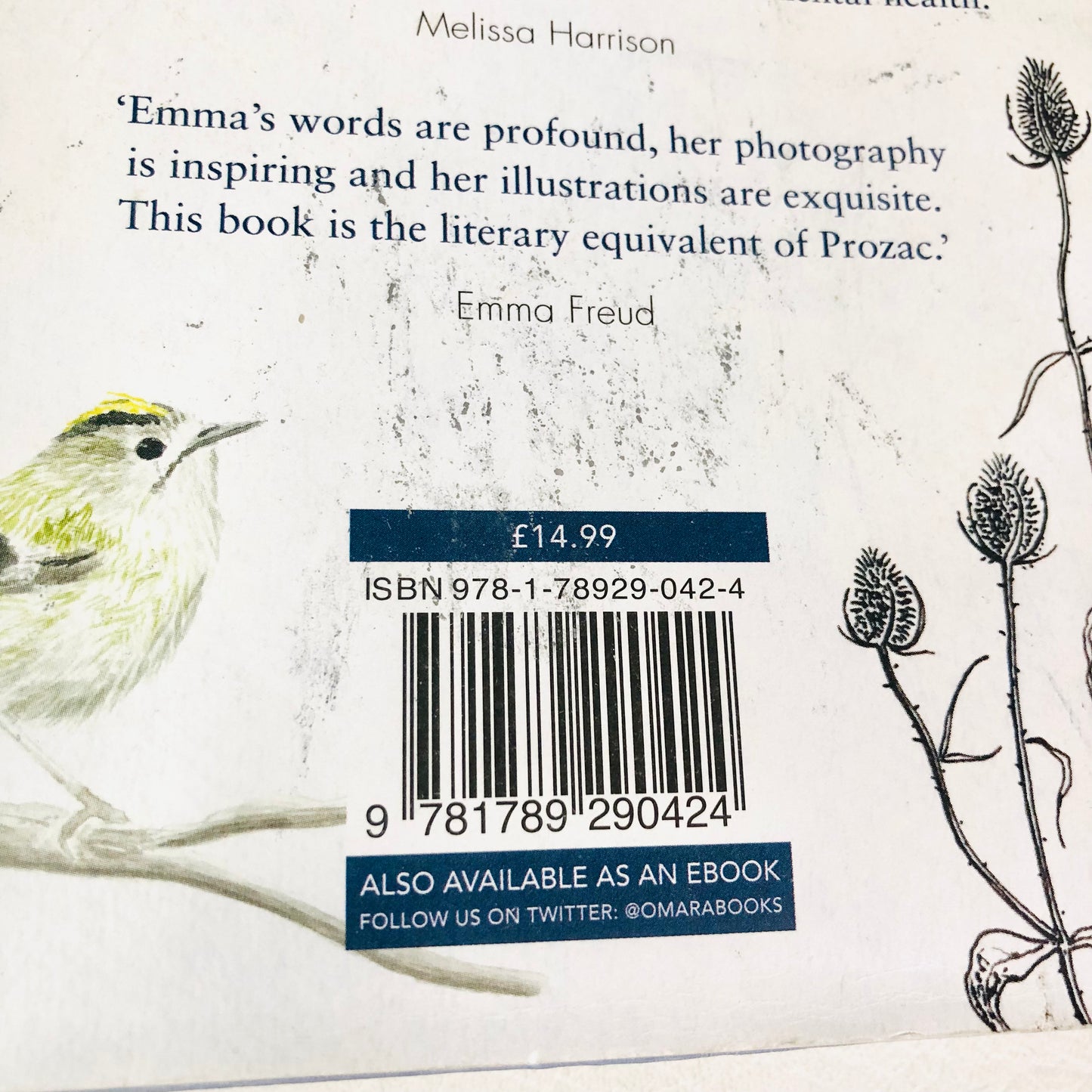 The Wild Remedy: How Nature Mends Us - A Diary by Emma Mitchell (Hardback Book)