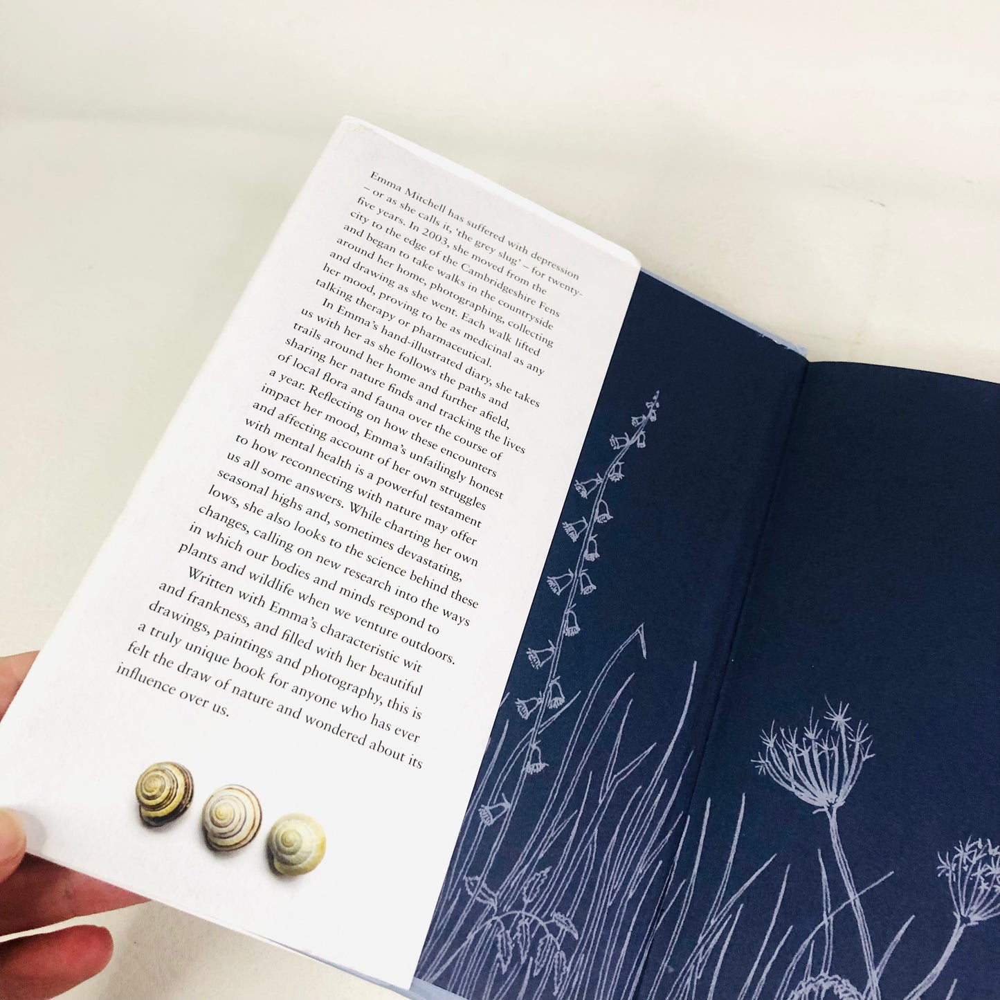 The Wild Remedy: How Nature Mends Us - A Diary by Emma Mitchell (Hardback Book)