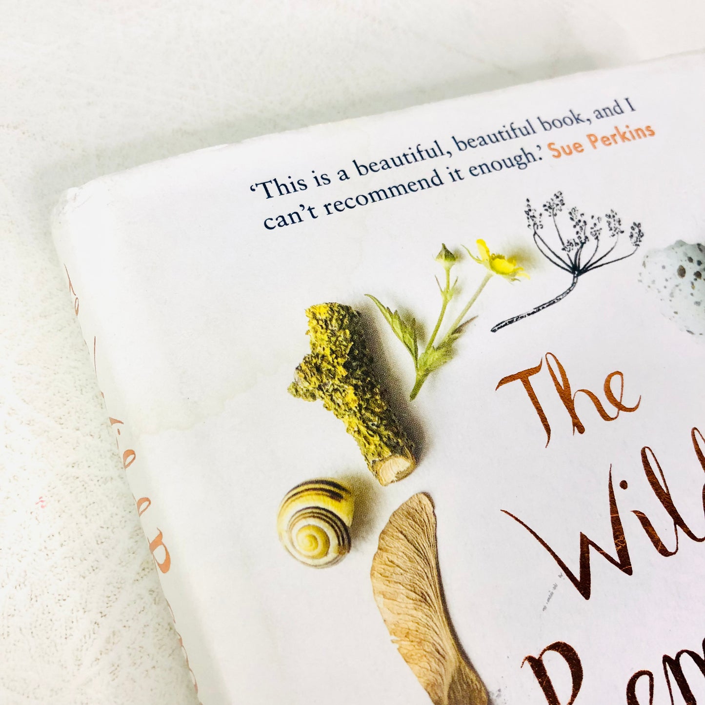 The Wild Remedy: How Nature Mends Us - A Diary by Emma Mitchell (Hardback Book)