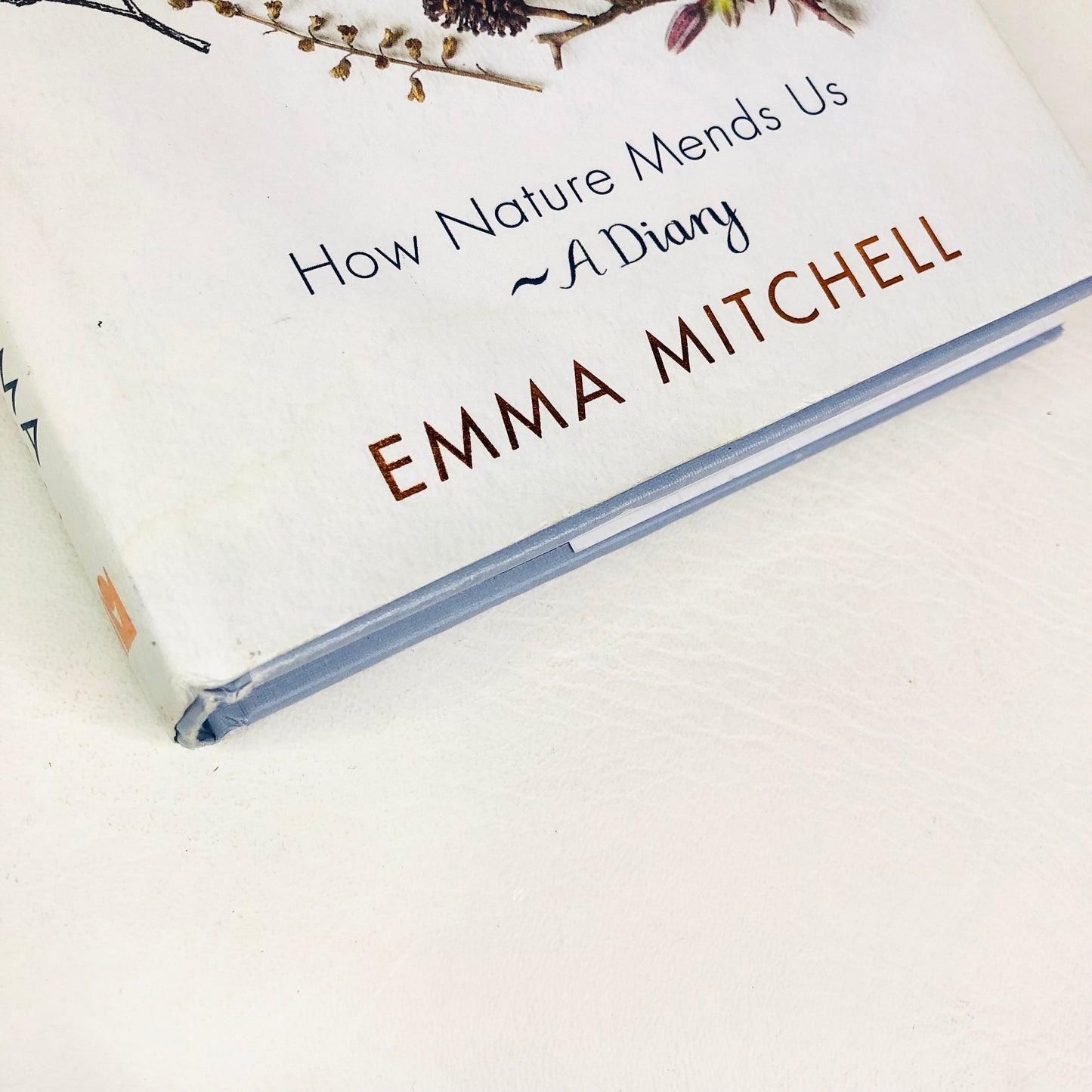 The Wild Remedy: How Nature Mends Us - A Diary by Emma Mitchell (Hardback Book)