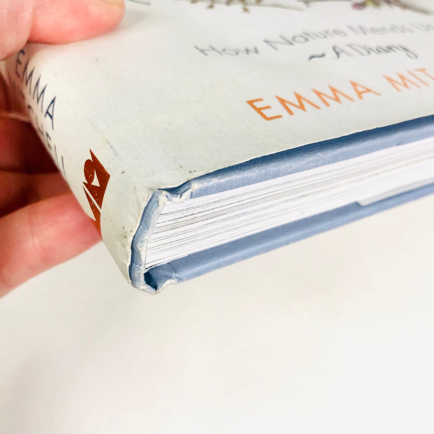 The Wild Remedy: How Nature Mends Us - A Diary by Emma Mitchell (Hardback Book)