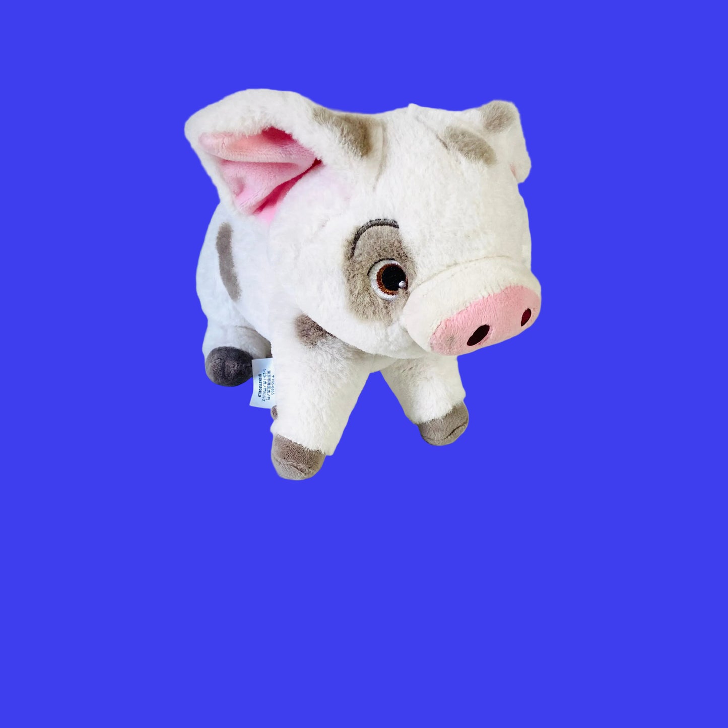 Official Disney Store Moana's Pua Pig 9" Soft Plush Toy Animal Collectible Rare