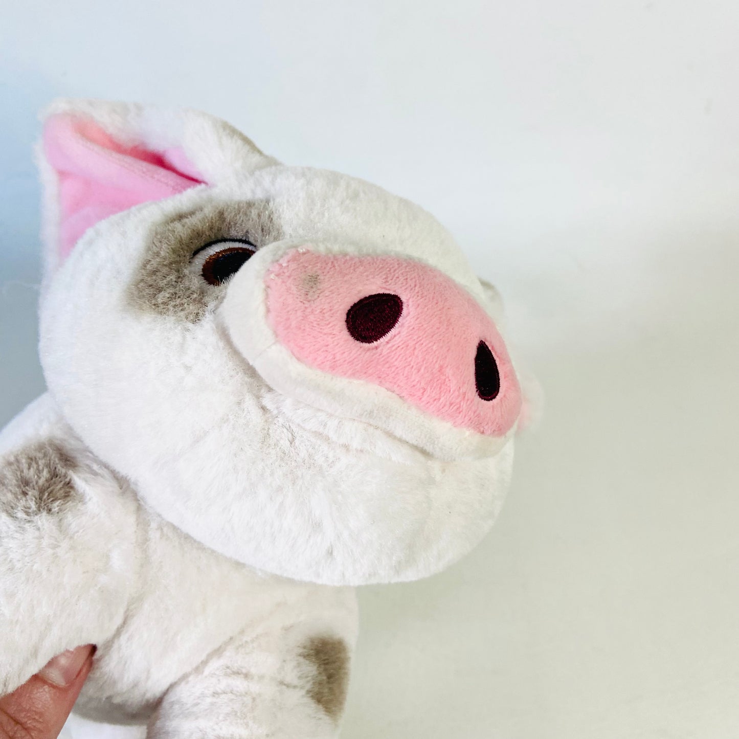 Official Disney Store Moana's Pua Pig 9" Soft Plush Toy Animal Collectible Rare