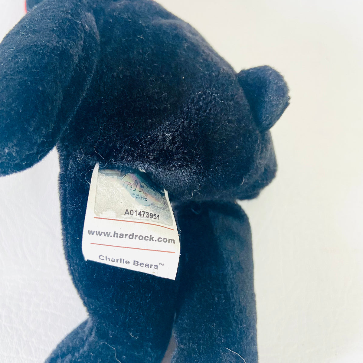 Hard Rock Cafe | Nassau Bahamas | All Is One Collectible Charlie Beara | Black Beanie Bear | 8" 20cm | Y2K
