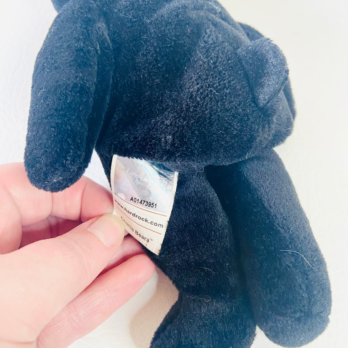 Hard Rock Cafe | Nassau Bahamas | All Is One Collectible Charlie Beara | Black Beanie Bear | 8" 20cm | Y2K