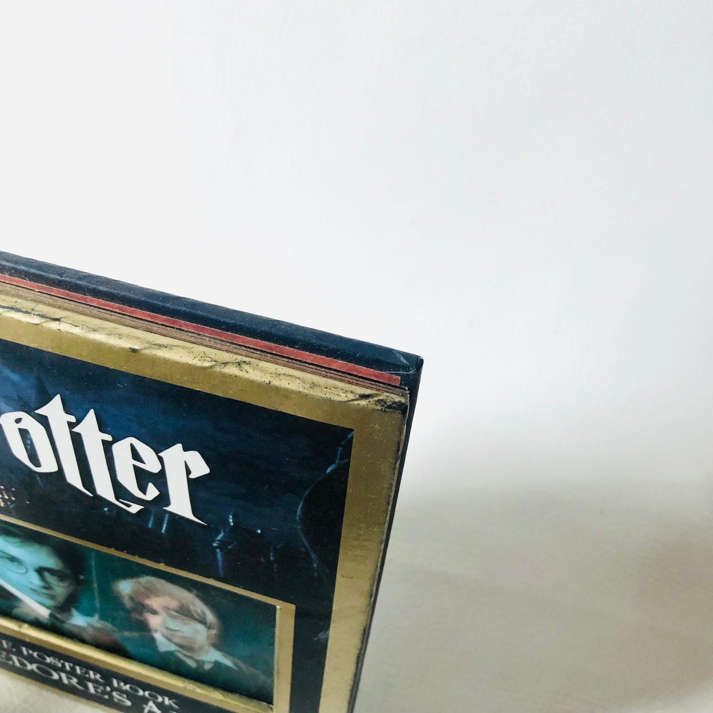 Harry Potter Deluxe Poster Book Dumbledore's Army 2007 3D Holographic Cover Warner Brothers
