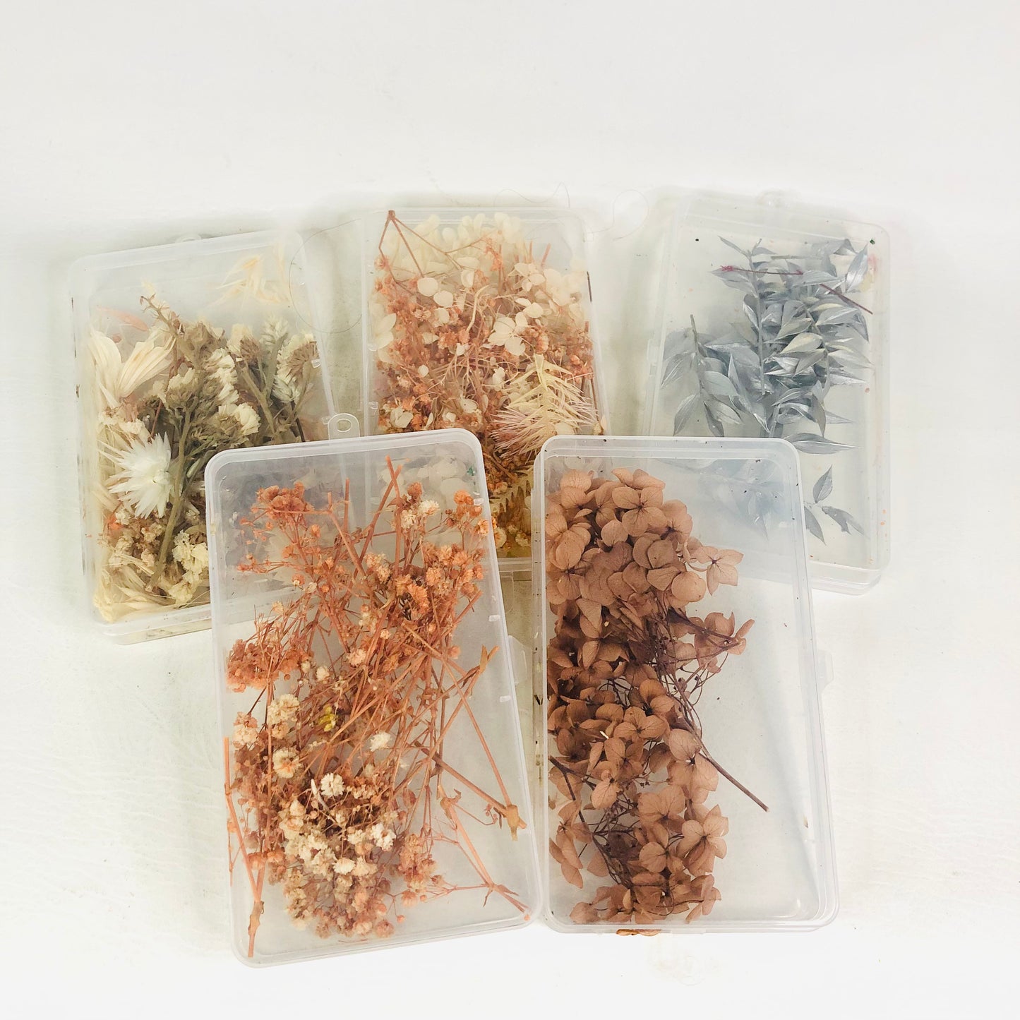 5x Plastic Boxes With Dried Flowers Craft Resin Natural Florals