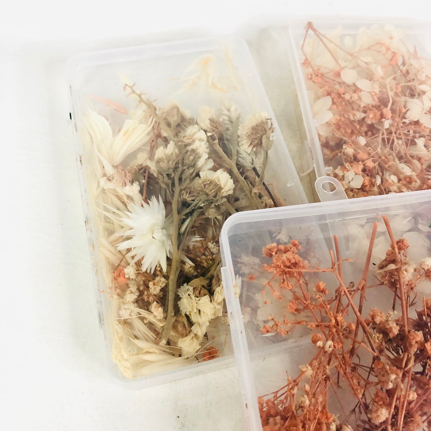 5x Plastic Boxes With Dried Flowers Craft Resin Natural Florals