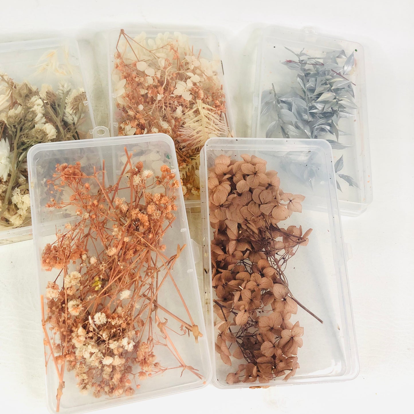 5x Plastic Boxes With Dried Flowers Craft Resin Natural Florals