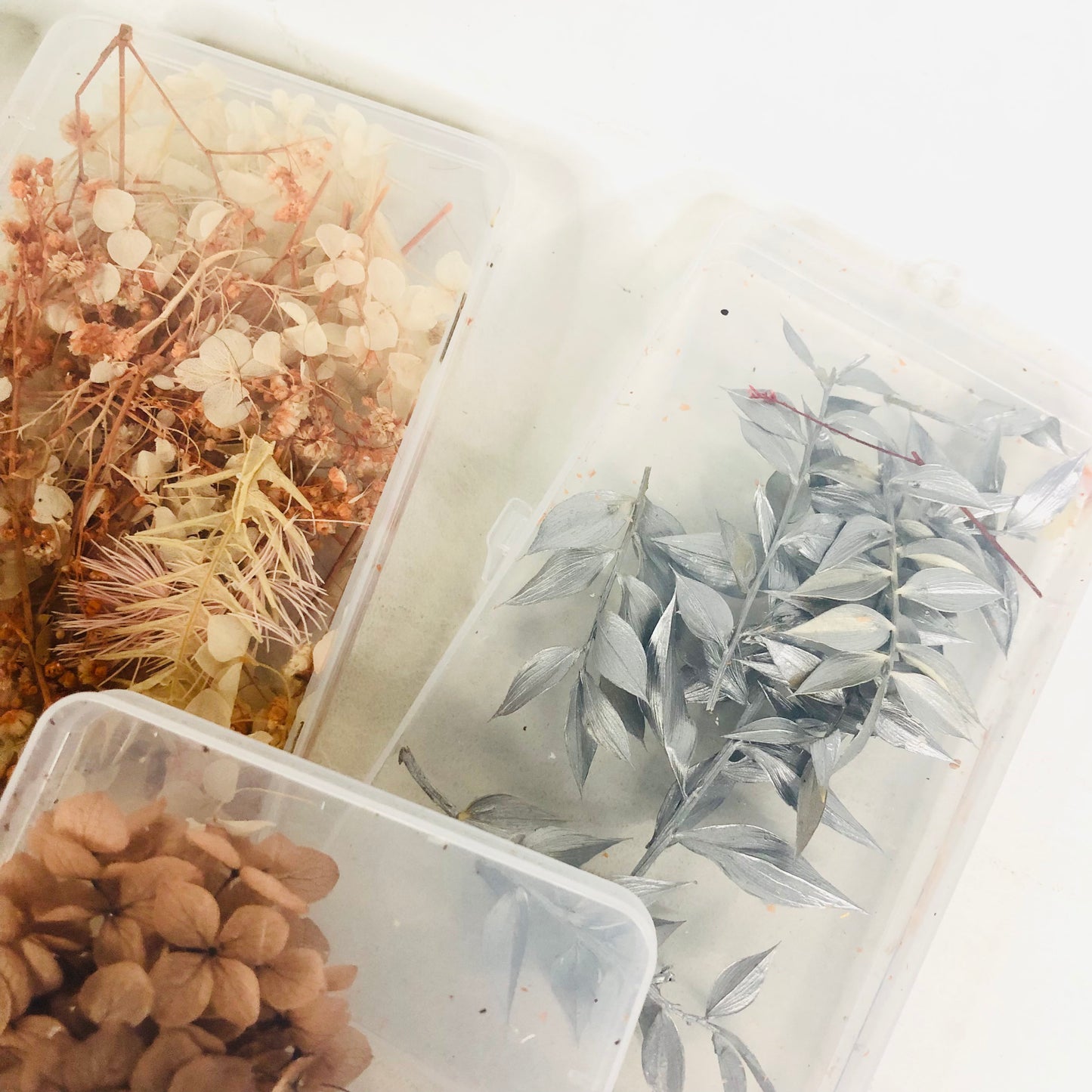 5x Plastic Boxes With Dried Flowers Craft Resin Natural Florals