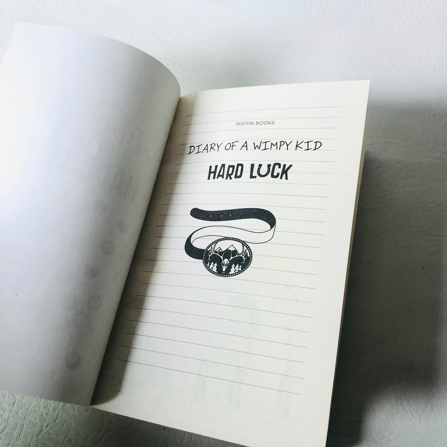 Diary of a Wimpy Kid: Hard Luck (Book 8) by Jeff Kinney (Paperback, 2013) Childrens Novel