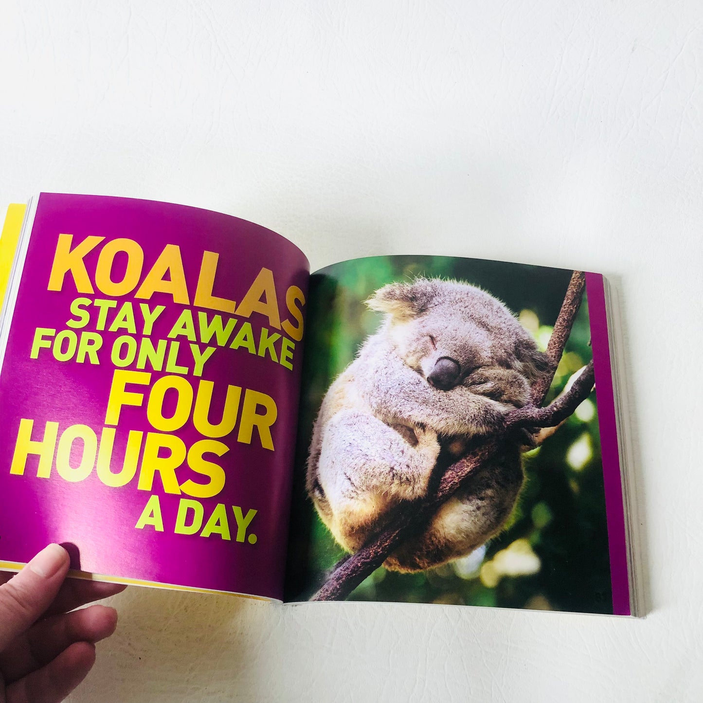 Weird But True: 2 - 300 Outrageous Facts By National Geographic Kids (2018)
