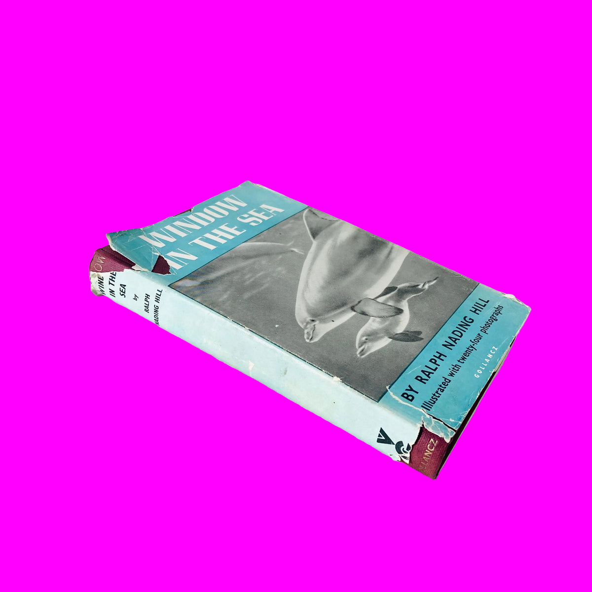 Window In The Sea | Ralph Nading Hill | Illustrated Hardback W/ Dust Jacket |1st Edition 1956