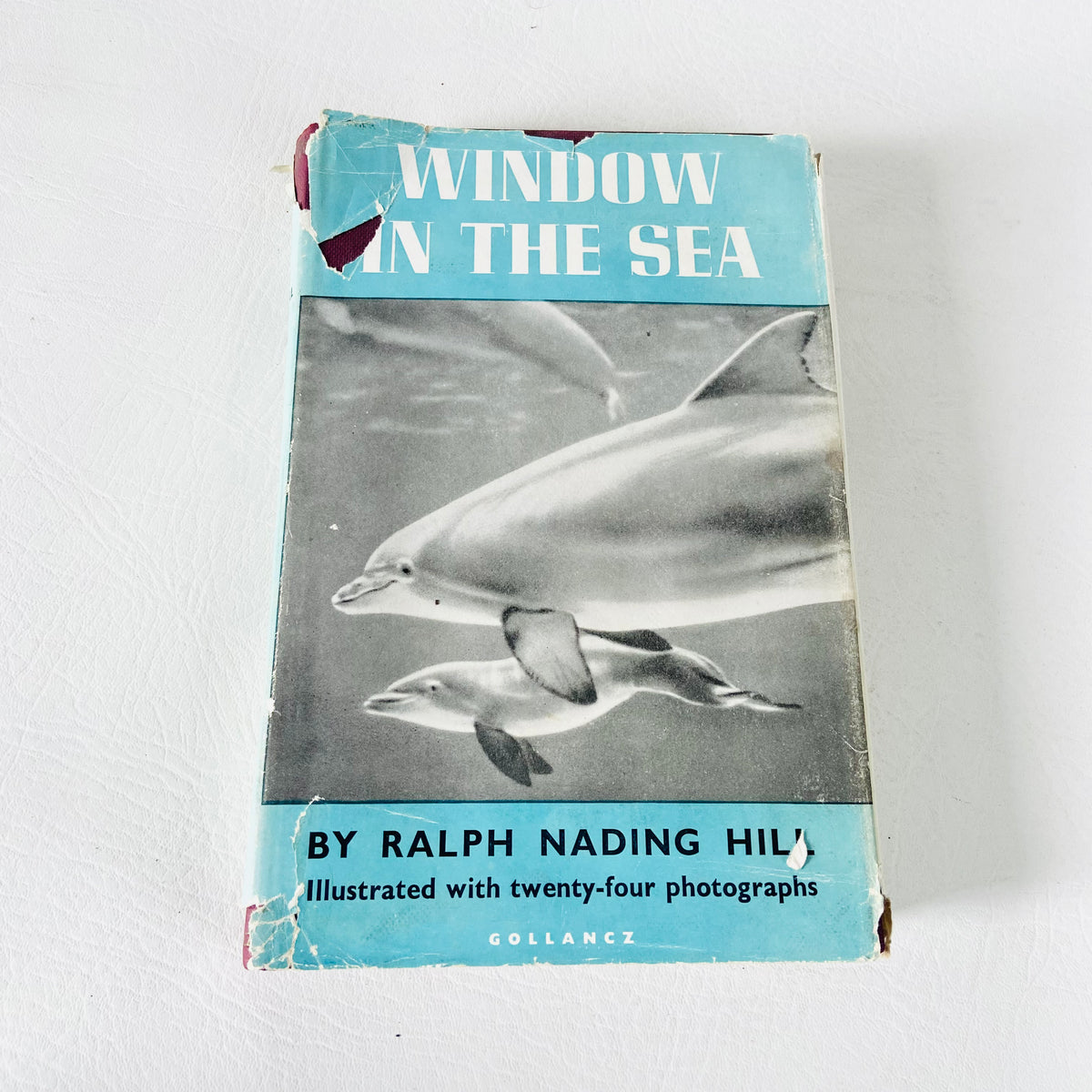 Window In The Sea | Ralph Nading Hill | Illustrated Hardback W/ Dust Jacket |1st Edition 1956