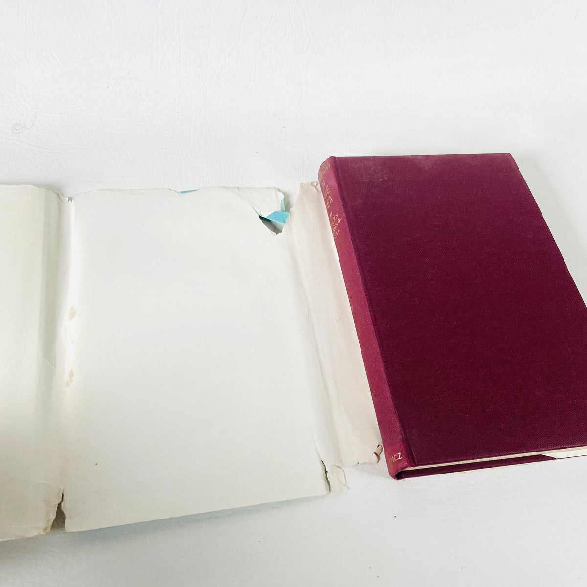 Window In The Sea | Ralph Nading Hill | Illustrated Hardback W/ Dust Jacket |1st Edition 1956