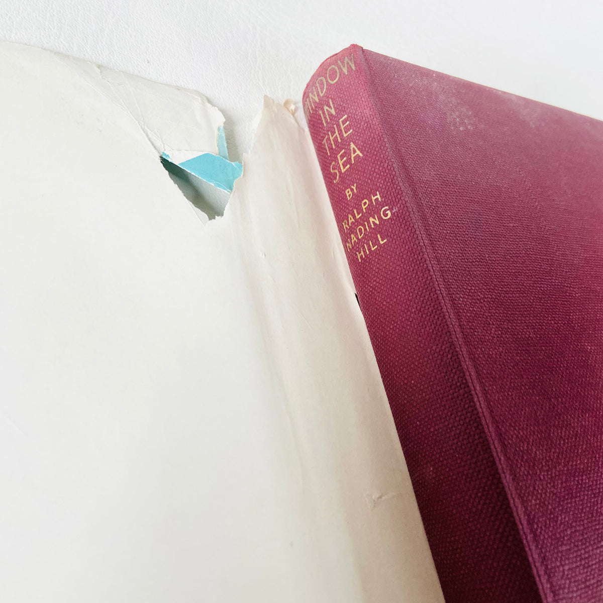 Window In The Sea | Ralph Nading Hill | Illustrated Hardback W/ Dust Jacket |1st Edition 1956