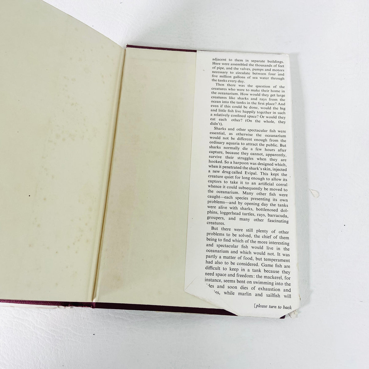 Window In The Sea | Ralph Nading Hill | Illustrated Hardback W/ Dust Jacket |1st Edition 1956