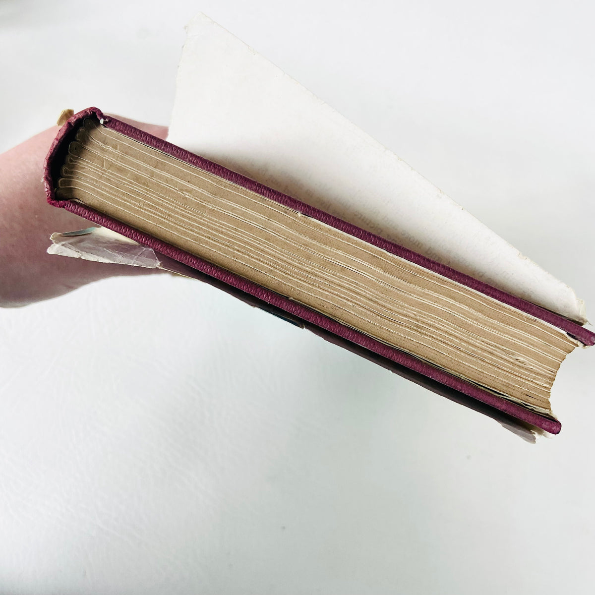 Window In The Sea | Ralph Nading Hill | Illustrated Hardback W/ Dust Jacket |1st Edition 1956
