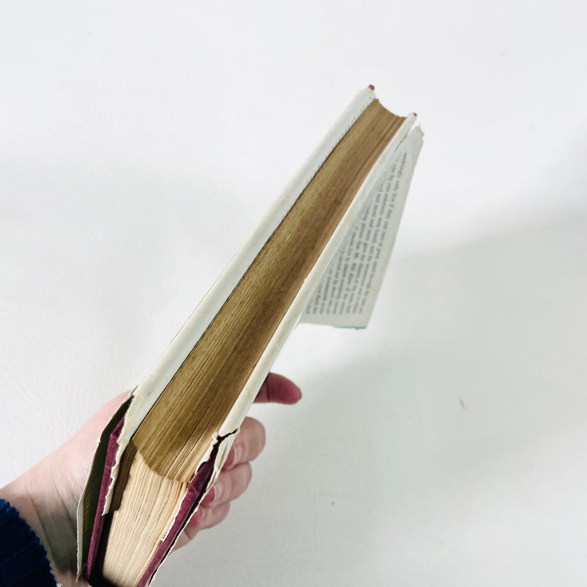 Window In The Sea | Ralph Nading Hill | Illustrated Hardback W/ Dust Jacket |1st Edition 1956