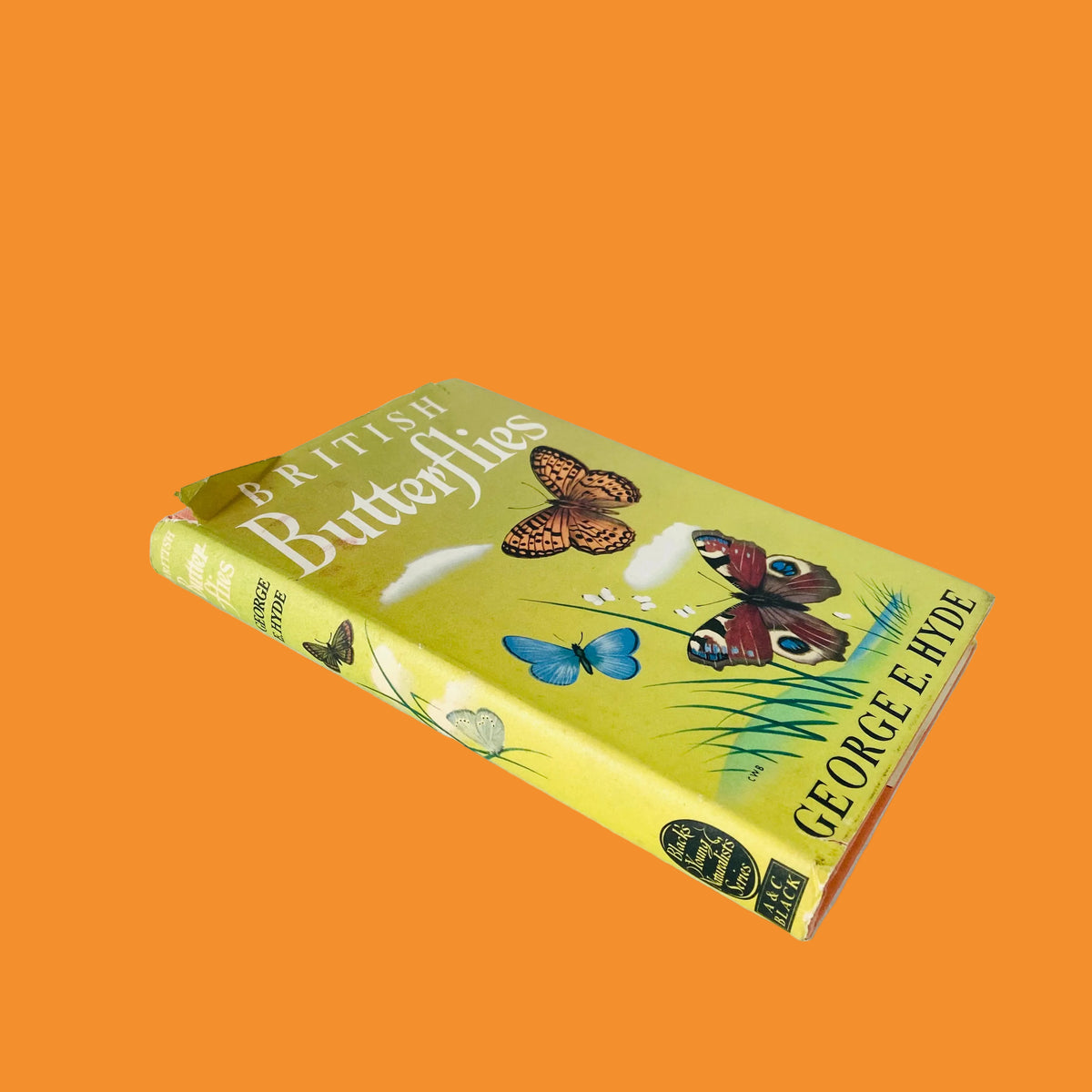 British Butterflies Book | George E Hyde | Hardcover Hardback | Vintage 1960