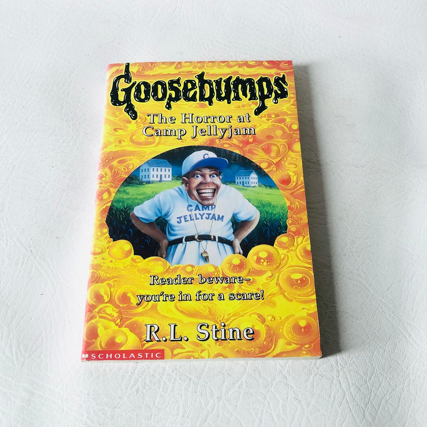 Vintage Goosebumps R.L Stine 6 Book Bundle 1990s - Kids Spooky Paperbacks