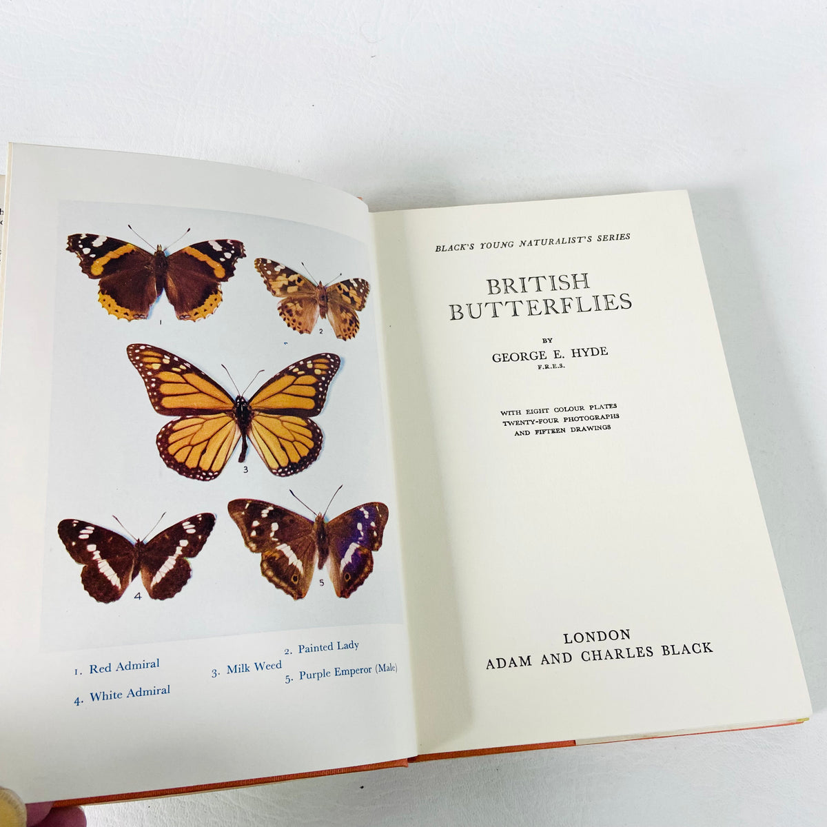 British Butterflies Book | George E Hyde | Hardcover Hardback | Vintage 1960