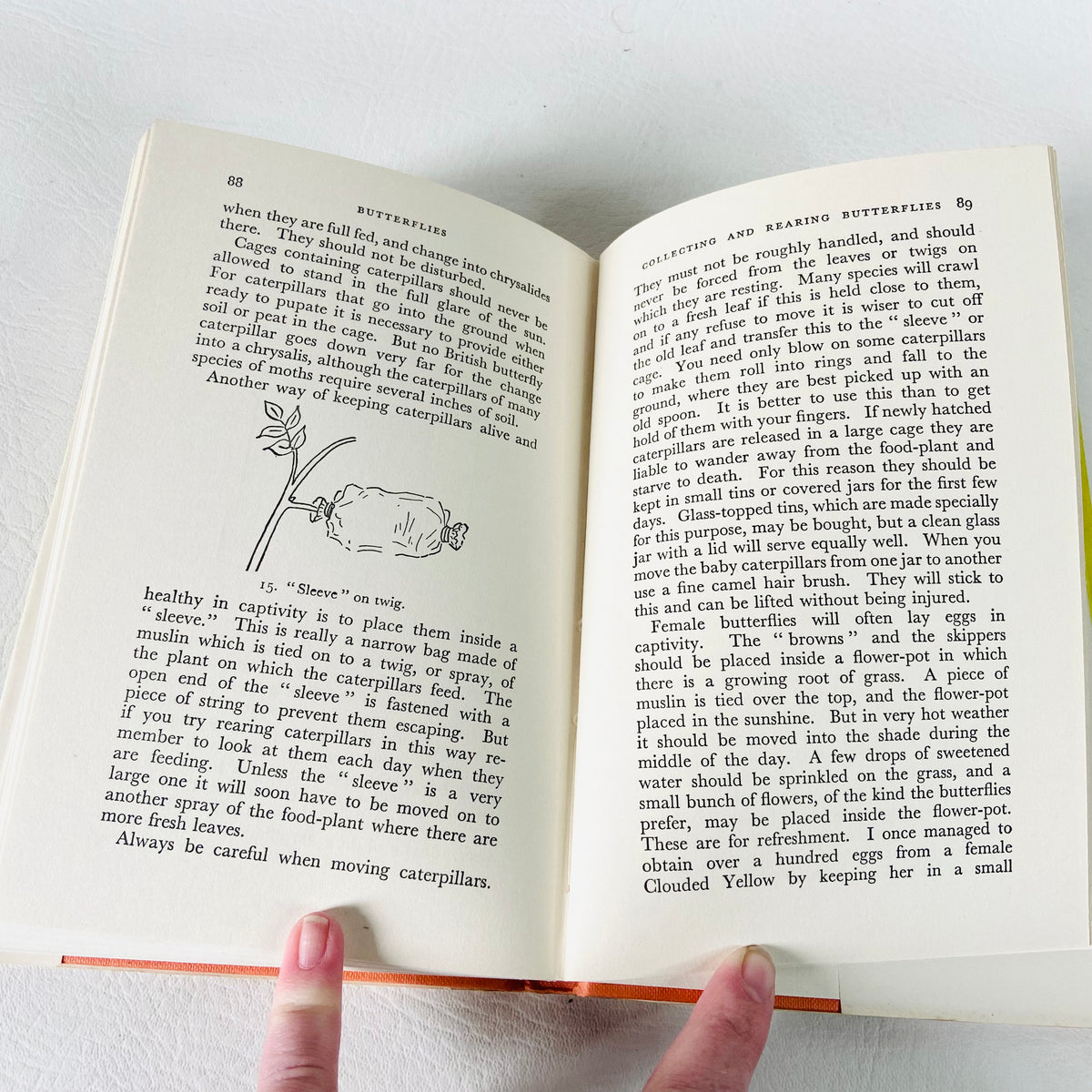 British Butterflies Book | George E Hyde | Hardcover Hardback | Vintage 1960