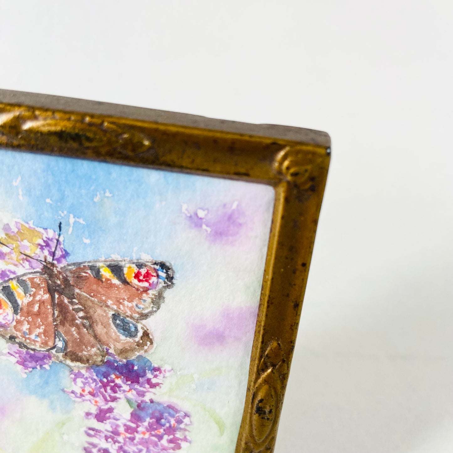 J. Grange | Miniature Watercolour Painting | Peacock Butterfly | Framed | 1995 | 9 x 6.5cm