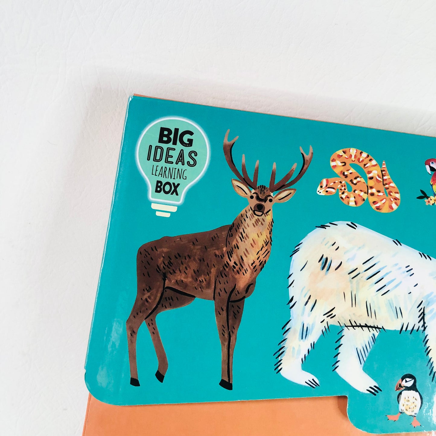 Awesome Animals: Big Ideas Learning Box for Children Puzzle Book Game RRP £19.99