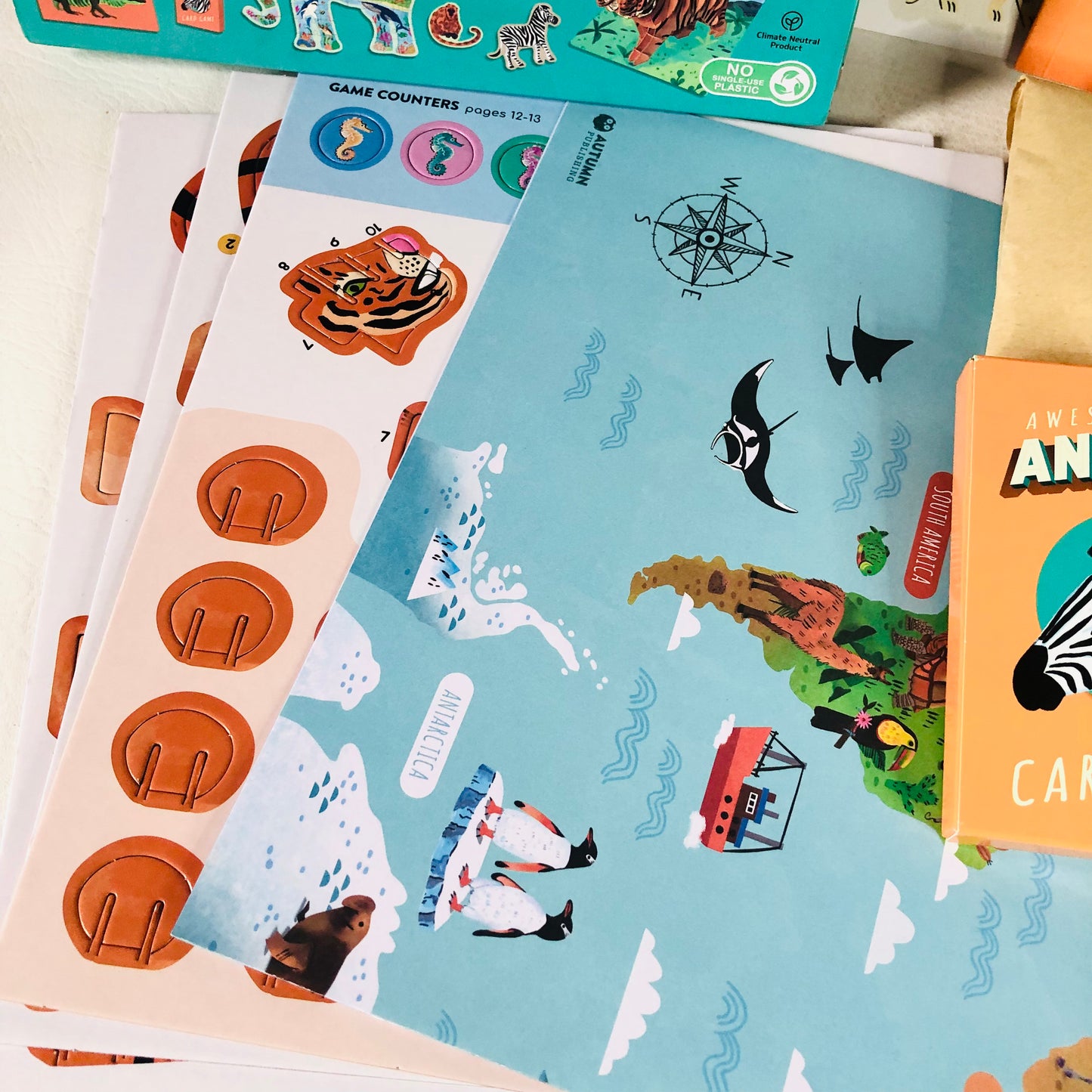 Awesome Animals: Big Ideas Learning Box for Children Puzzle Book Game RRP £19.99