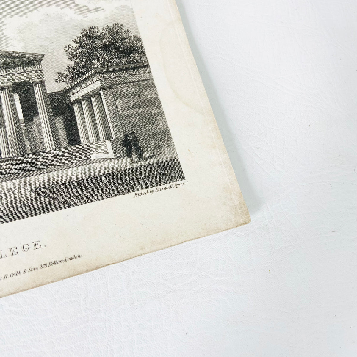 Collection 5X Antique Engravings Paper Prints Cambridge Landmarks (Kings College, Downing College, Trinity College)