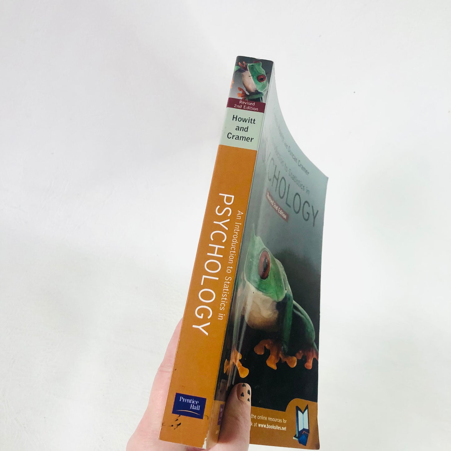 Introduction to Statistics in Psychology by Duncan Cramer, Dennis Howitt (2003) Revised 2nd Edition