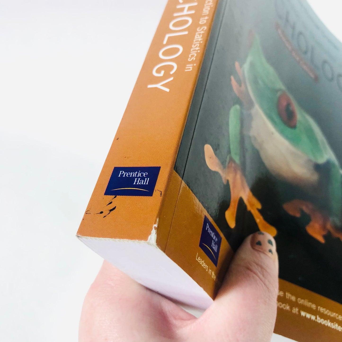 Introduction to Statistics in Psychology by Duncan Cramer, Dennis Howitt (2003) Revised 2nd Edition