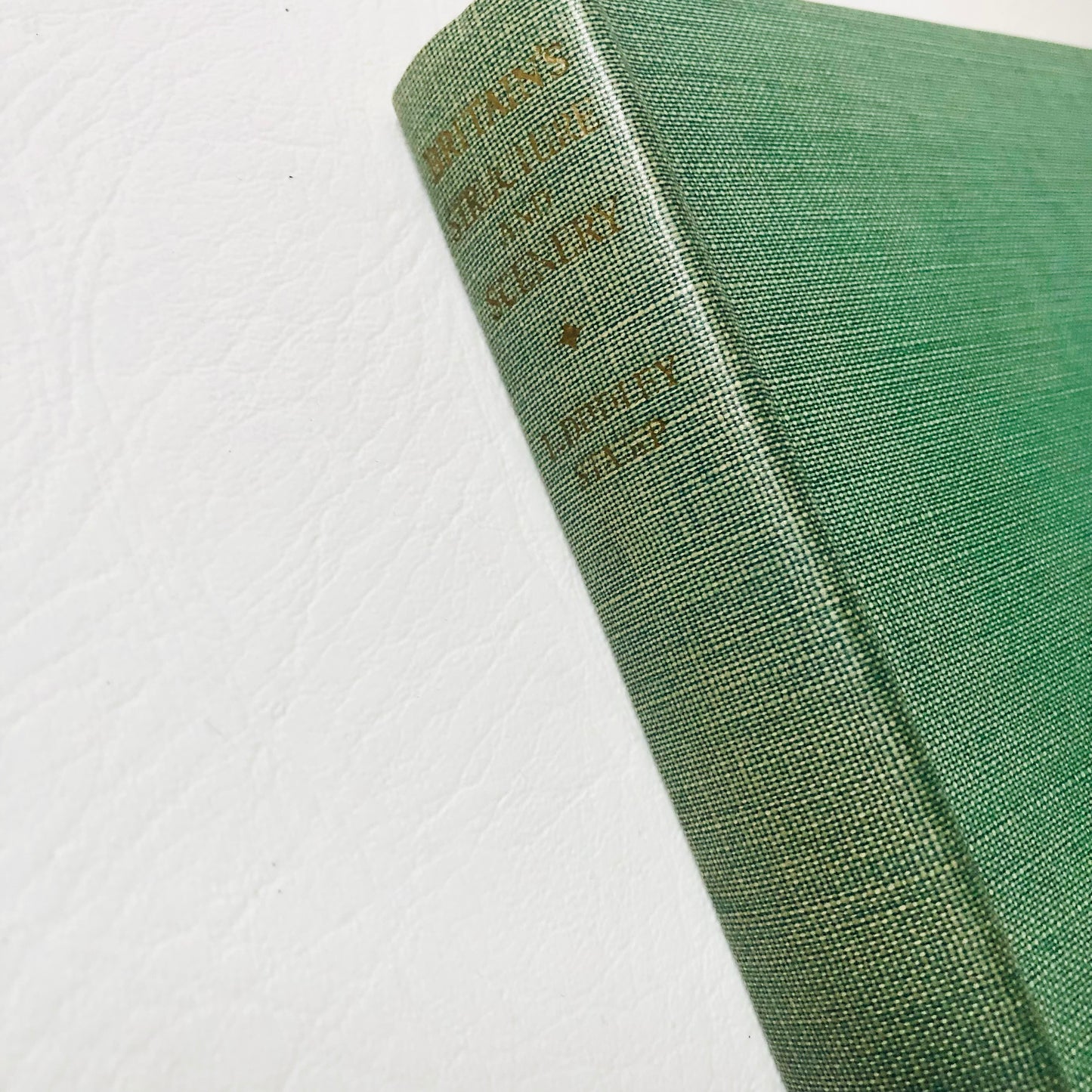 Rare Vintage 1947 L. Dudley Stamp BRITAIN'S STRUCTURE & SCENERY New Naturalist No. 4 2nd Ed