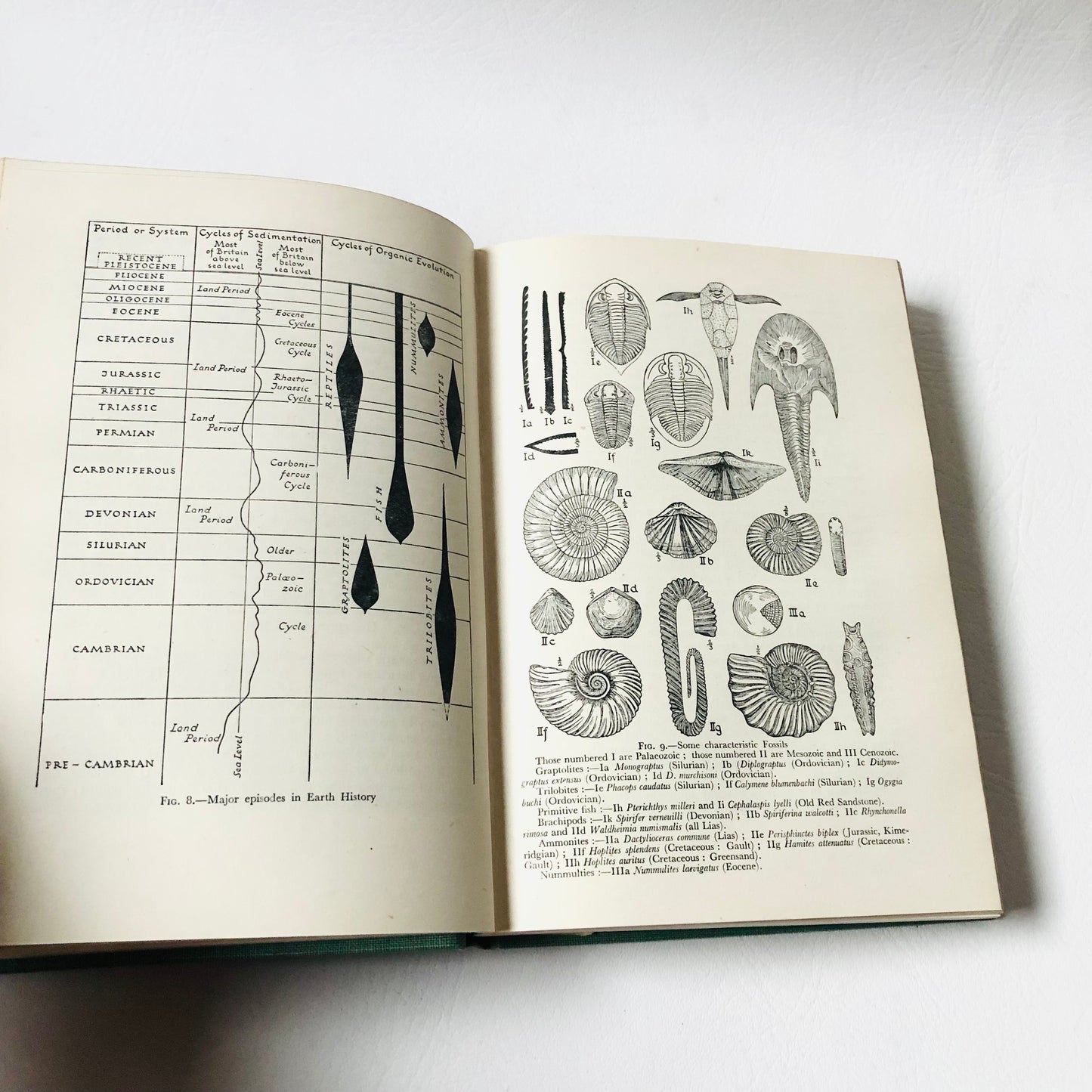 Rare Vintage 1947 L. Dudley Stamp BRITAIN'S STRUCTURE & SCENERY New Naturalist No. 4 2nd Ed
