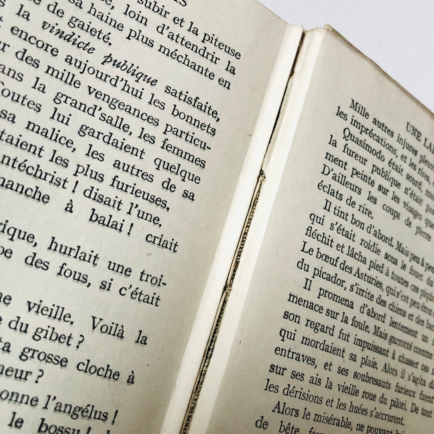 Victor Hugo NOTRE DAME DE PARIS Nelson Ed. 2 Vol Set Antique French Books 1937