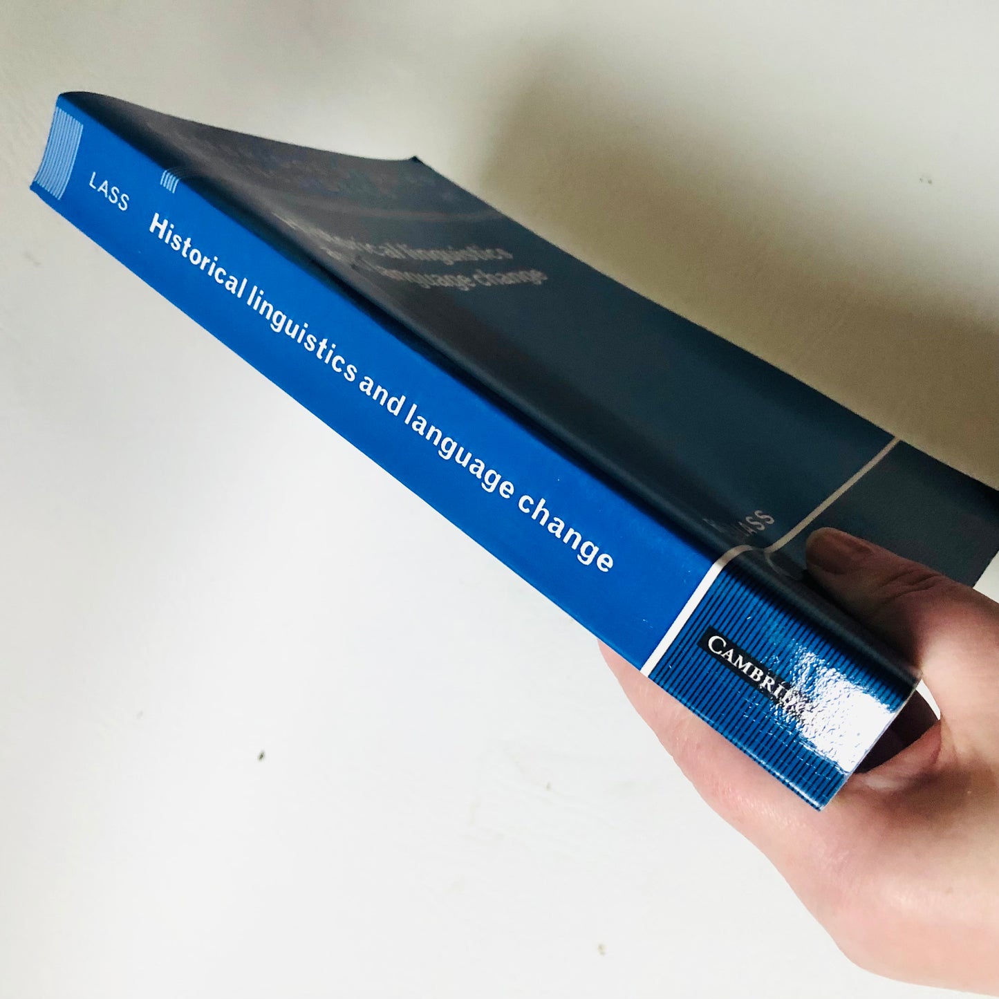 Cambridge Studies in Linguistics Historical Linguistics and Language Change - Roger Lass
