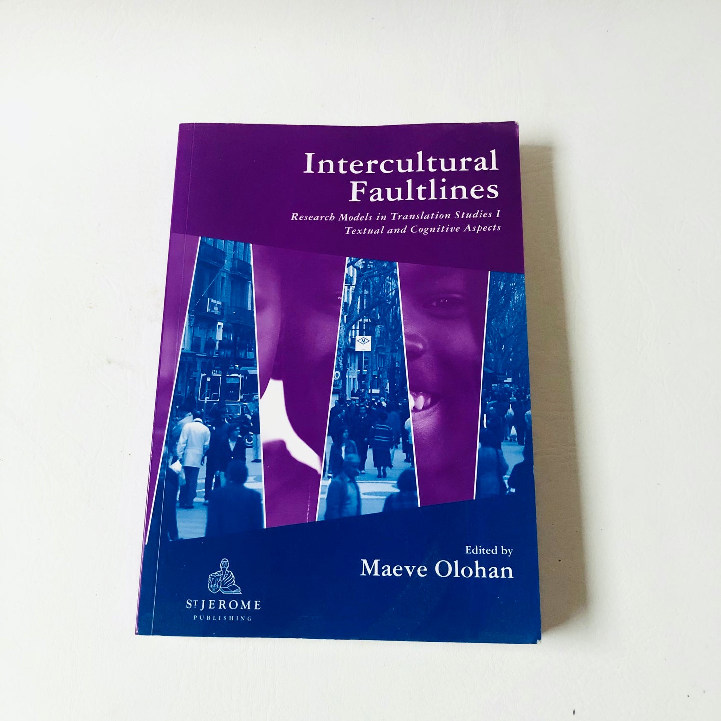 Intercultural Faultlines: Research Models in Translation Studies: V.1 - Maeve Olohan