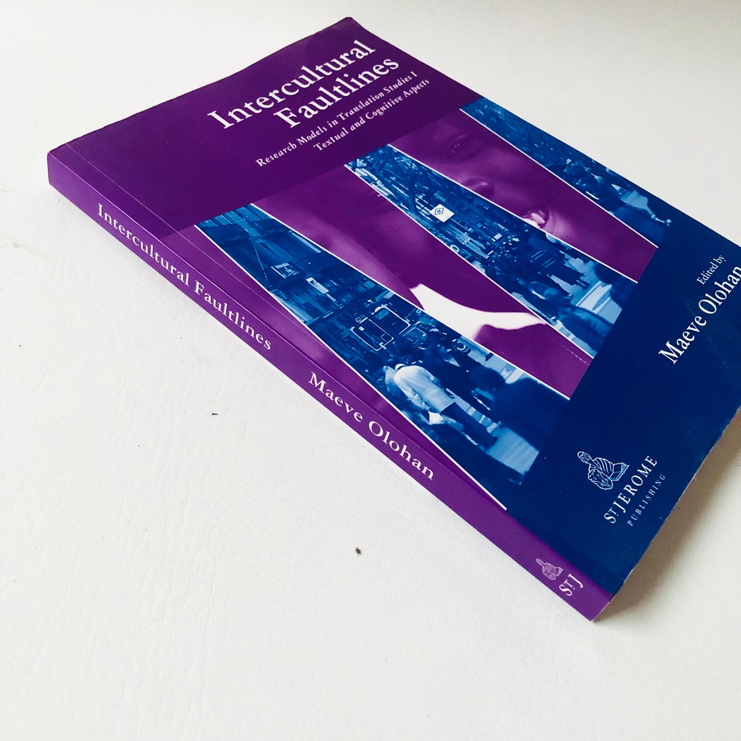 Intercultural Faultlines: Research Models in Translation Studies: V.1 - Maeve Olohan