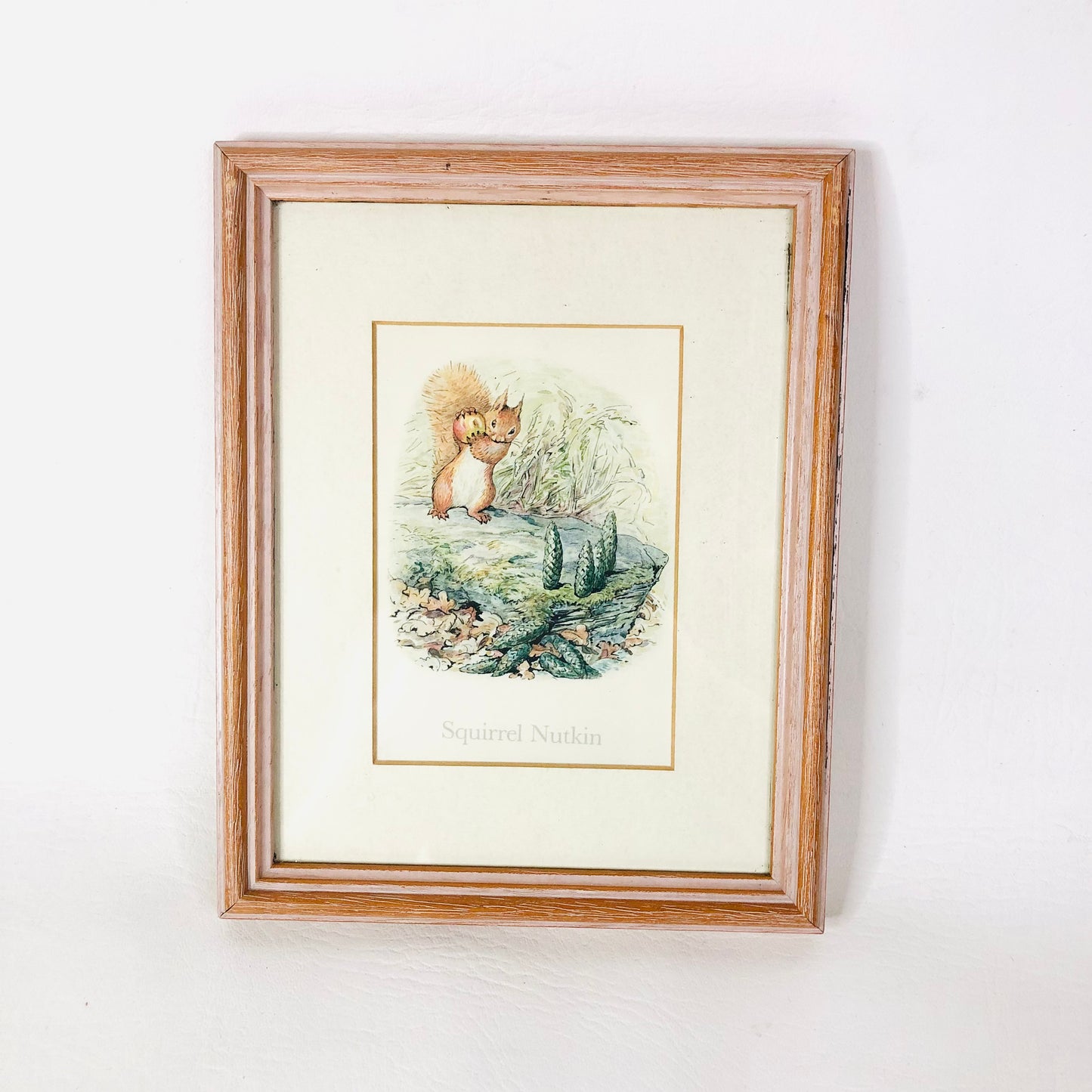 Squirrel Nutkin (Beatrix Potter) Framed Art Work Print Nursery Decor 8.5" x 7"