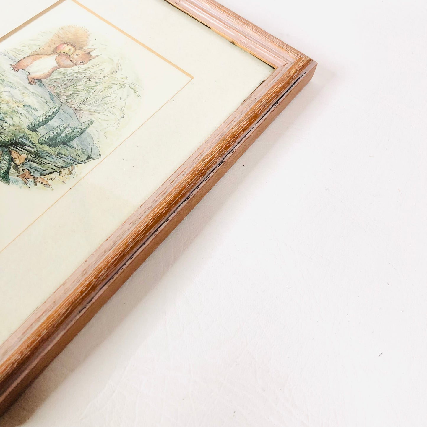 Squirrel Nutkin (Beatrix Potter) Framed Art Work Print Nursery Decor 8.5" x 7"