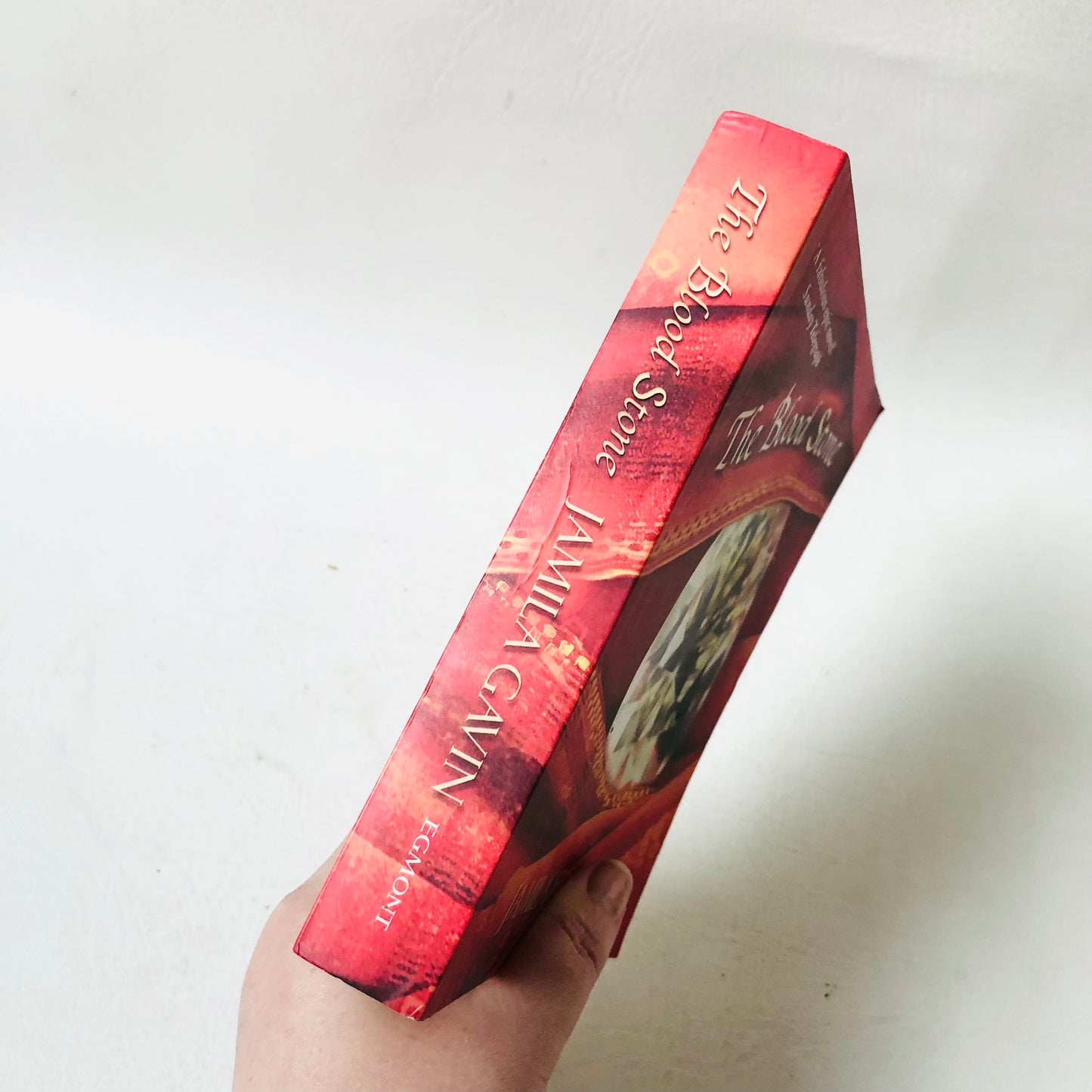 The Blood Stone by Jamila Gavin - Epic 17th Century History Adventure Novel - Paperback Book