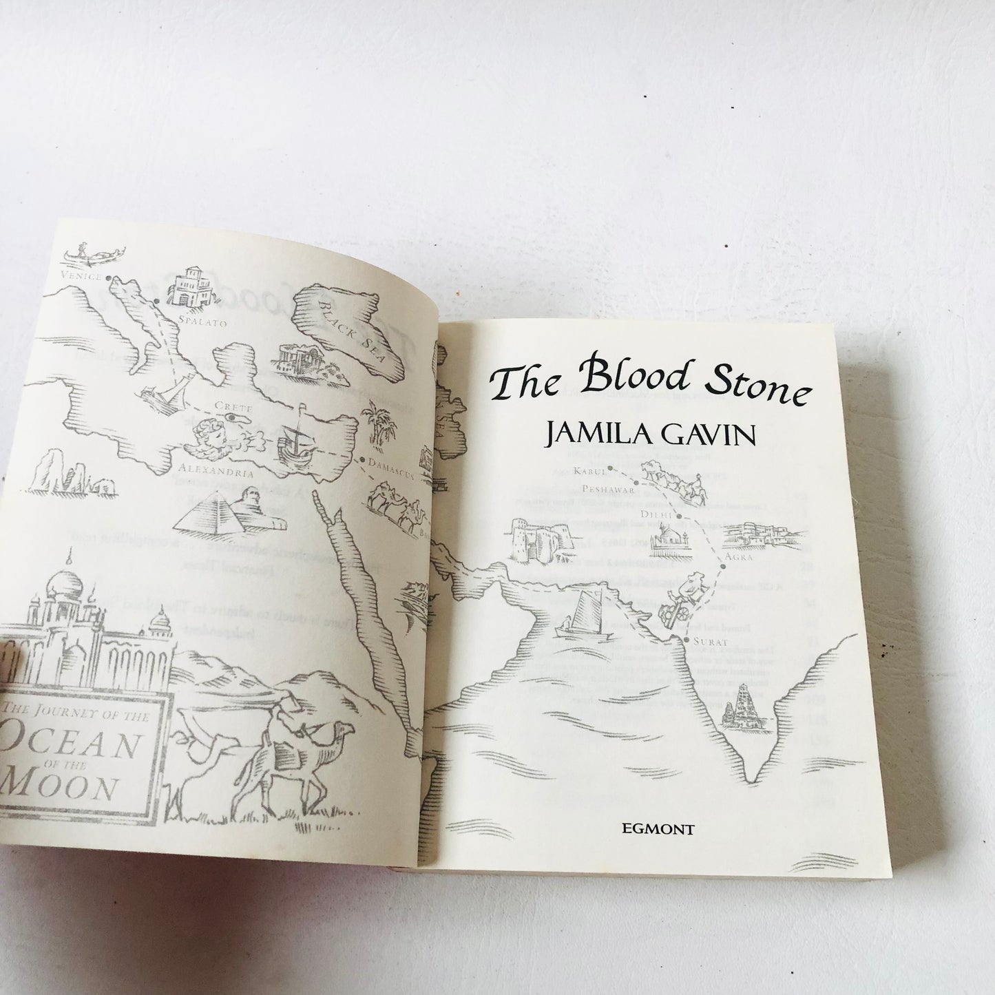 The Blood Stone by Jamila Gavin - Epic 17th Century History Adventure Novel - Paperback Book
