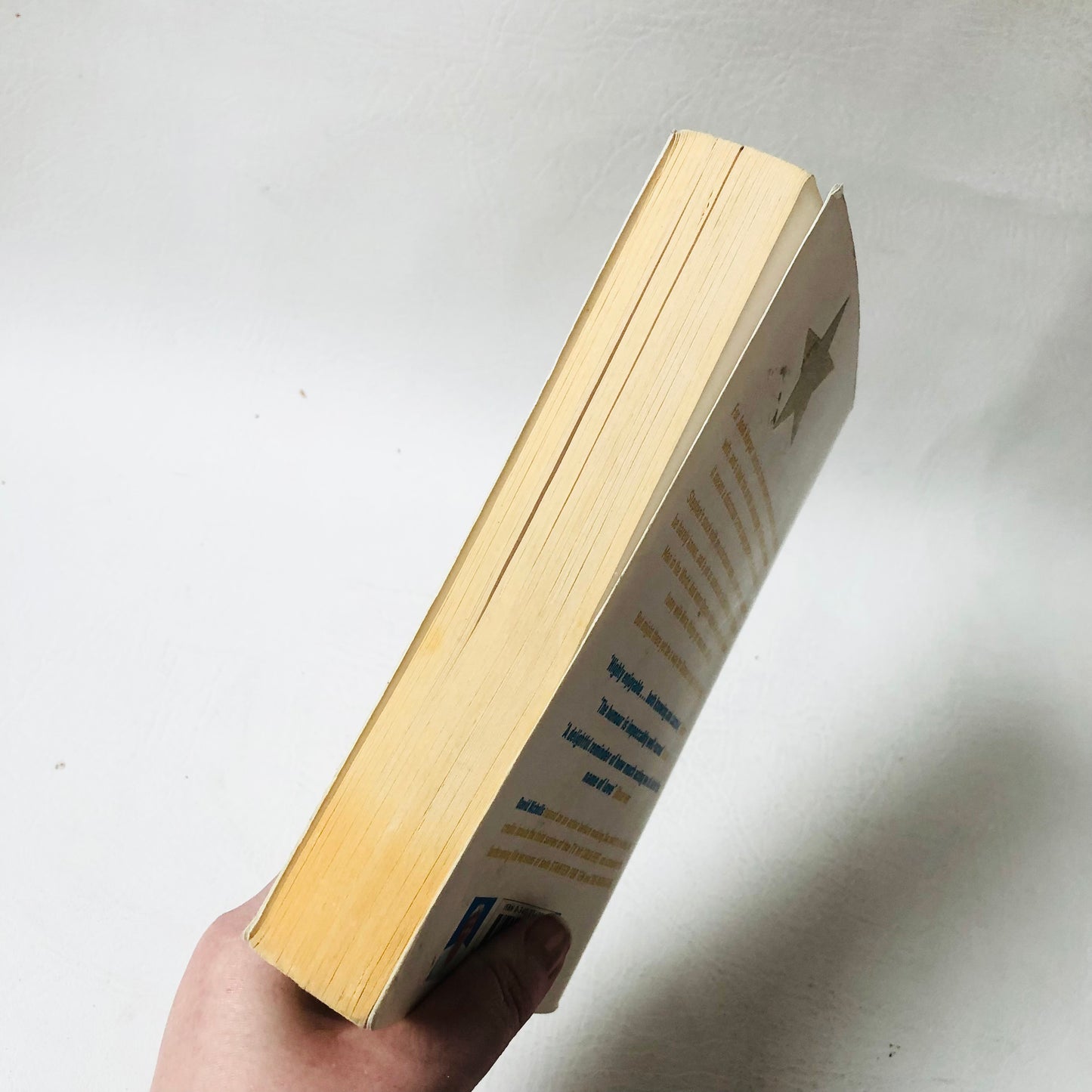 The Understudy by David Nicholls - 2005 First Edition Paperback